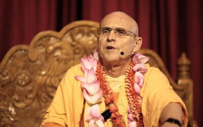 November ’25 Collection – Vintage Media