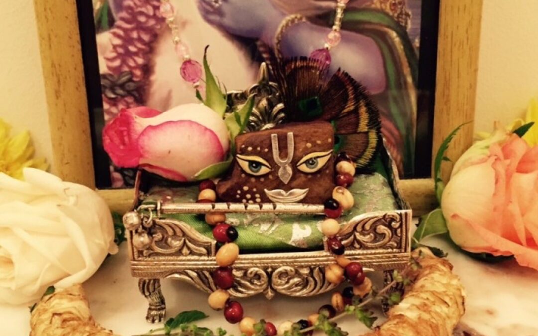 In Villa Vrndavana, July 2015