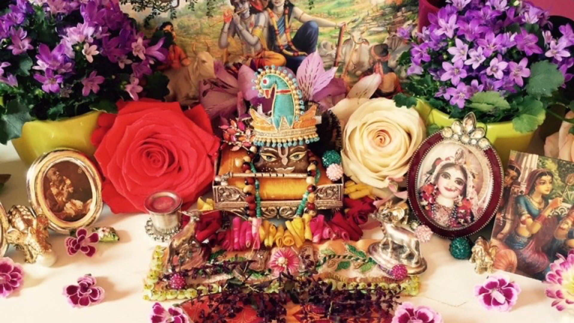 Krsna is everywhere!