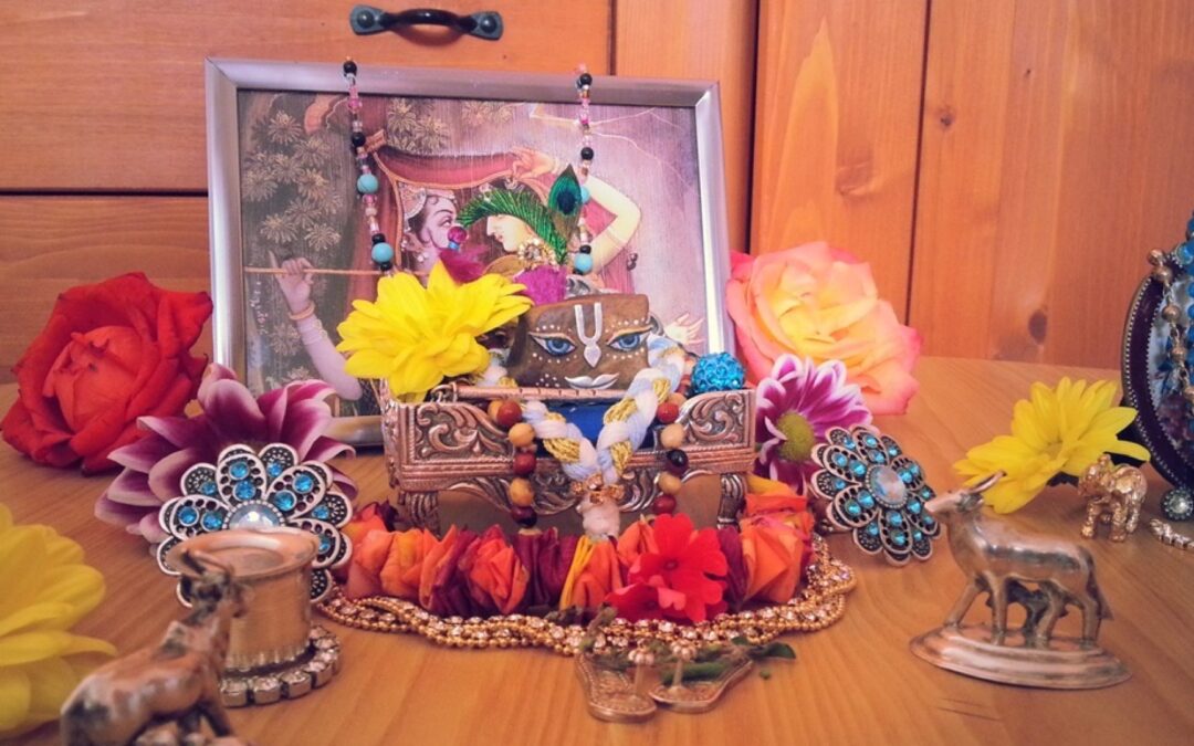 The servant of Krsna