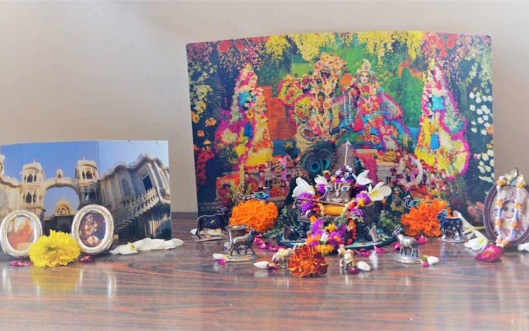 Soweto Ratha Yatra, 2014
