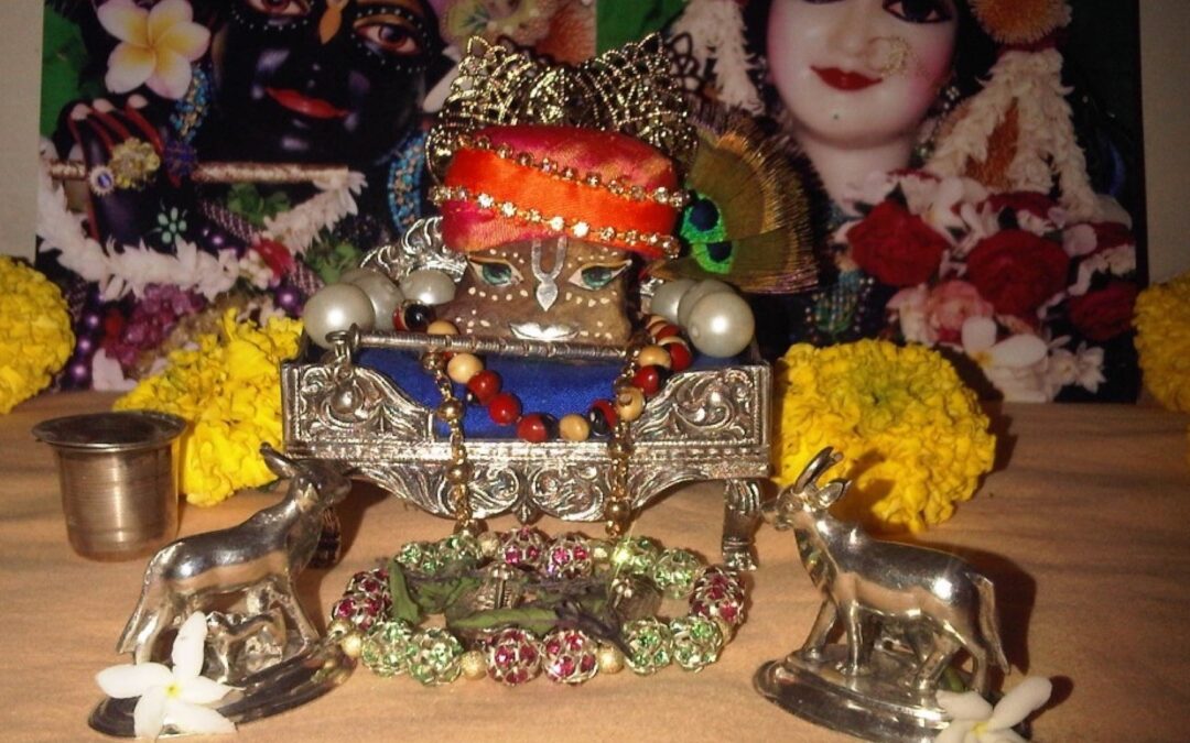 Irresistible Krsna 2