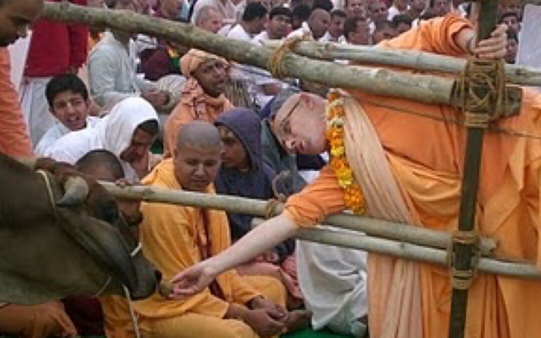 Govardhana Festival at Krsna Balarama temple