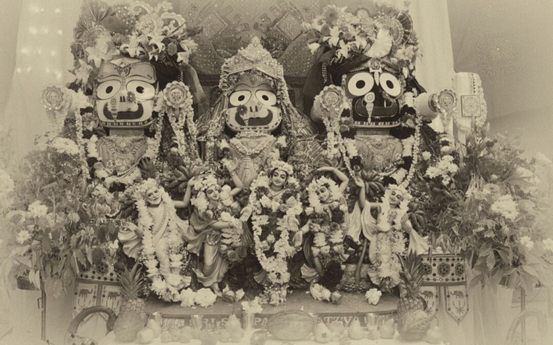 Ratha Yatra in Brisbane, 2015