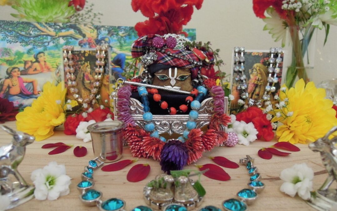 Snana Yatra in Durban, 06 March 2016