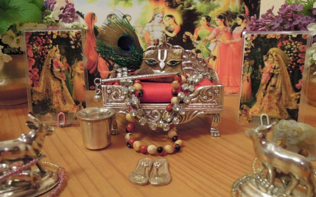 Stand up for Krsna!