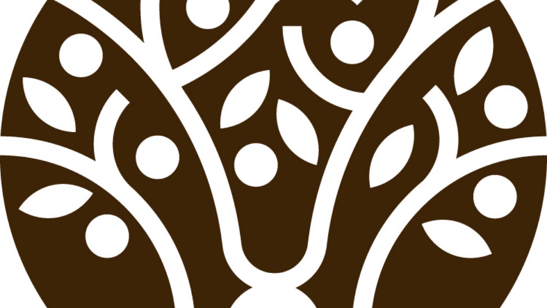 Caitanya Caritamrta – The Essence Of Everything!