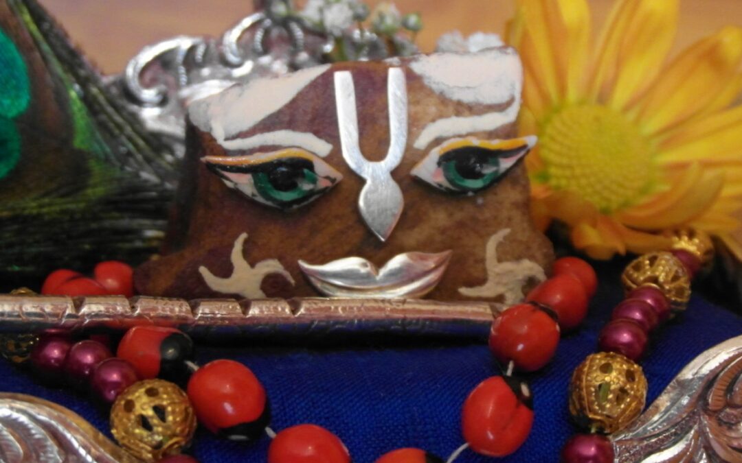 Irresistible Krsna 3
