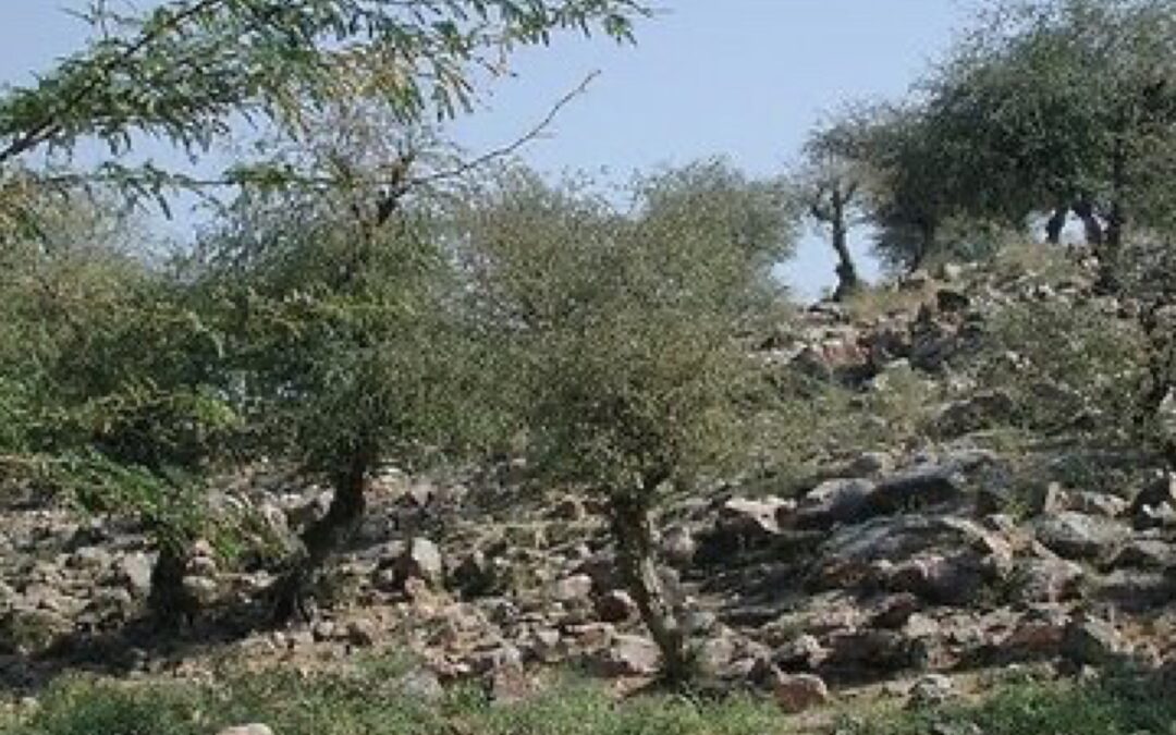KKS -Birth Place Of Vasudeva Datta (last part)