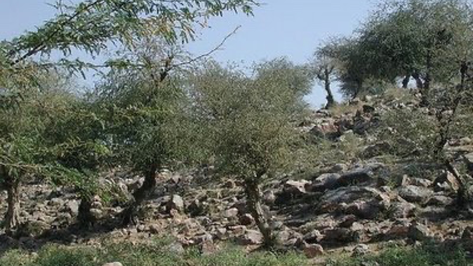 KKS -Birth Place Of Vasudeva Datta (last part)