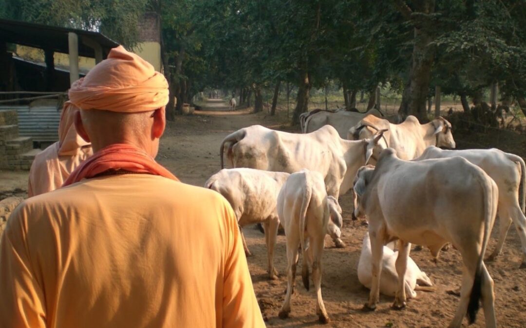 Time for Krsna
