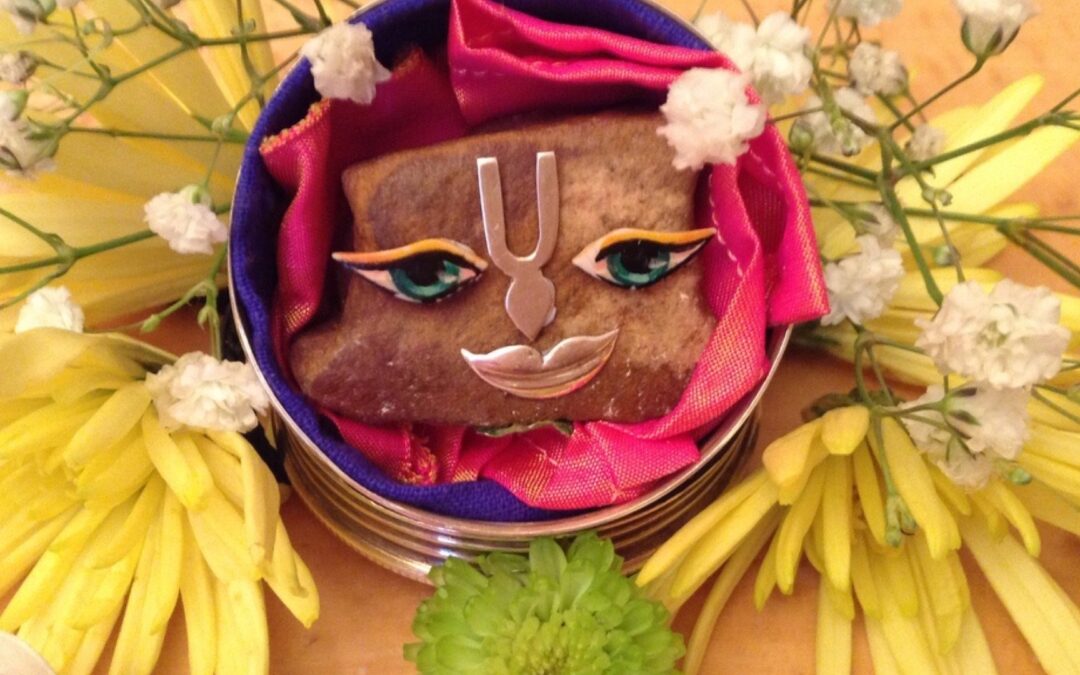Vrindavan Braj Parikrama – Day 2