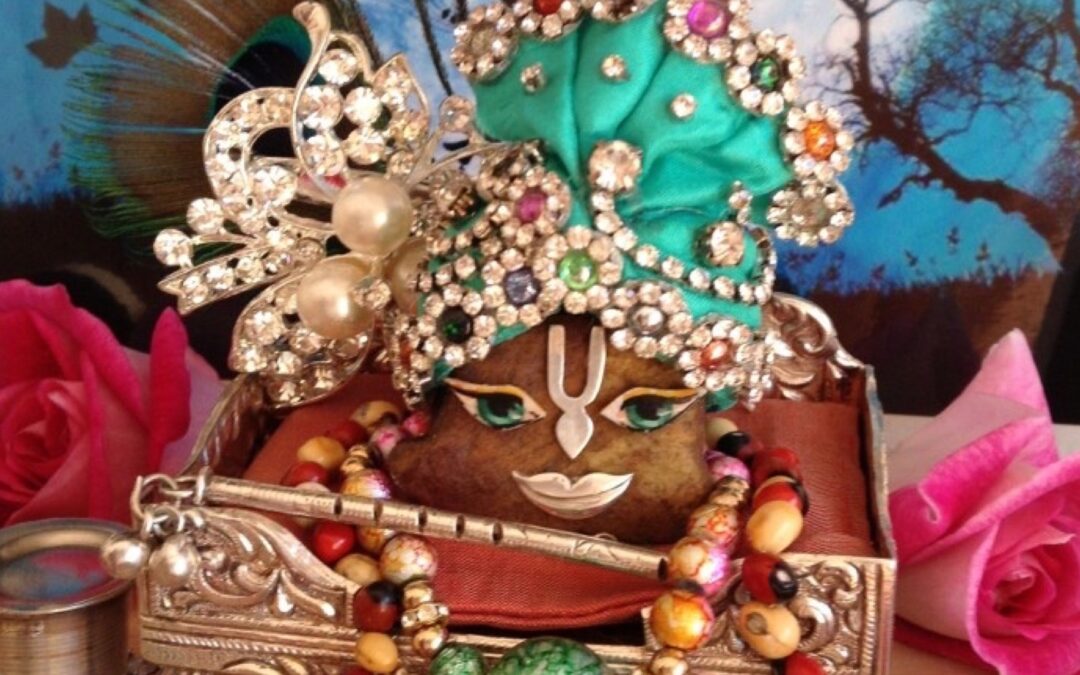 Devotees are like sharks!