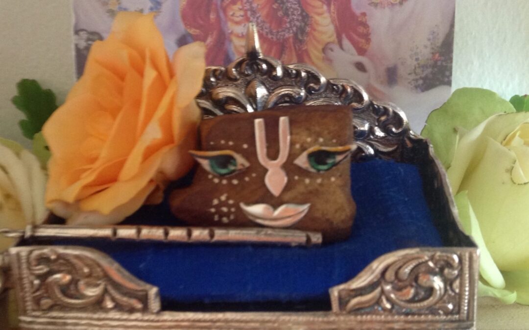 Depend On Krishna (part5)