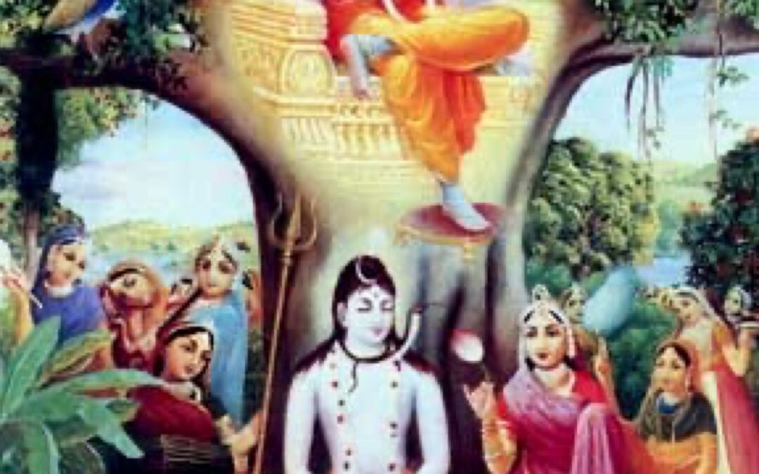 Drinking the nectar of the Bhagavatam until you faint!